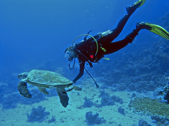 scuba-diving-kefalonia_400